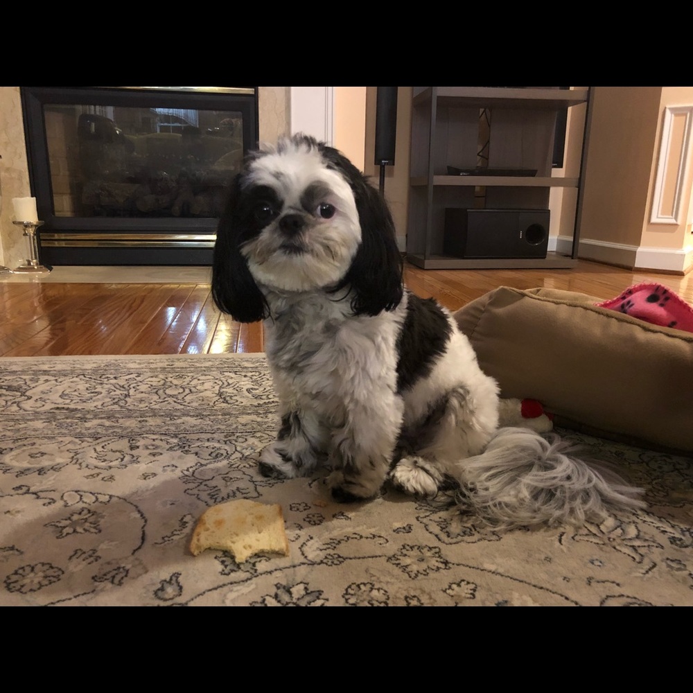 Meet your Posher, Naz